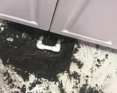 沙河口查漏水哪家好